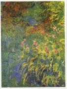 Claude Monet Irises, 1914-17 oil painting on canvas